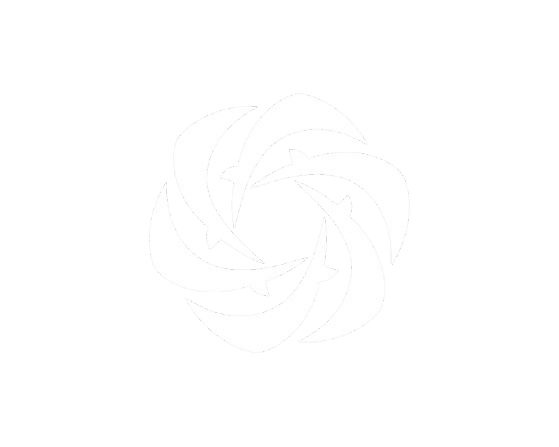 Momentum