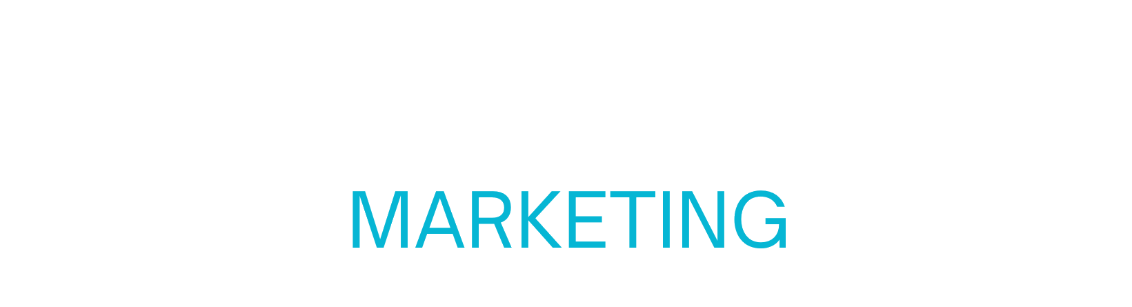 Momentum Marketing